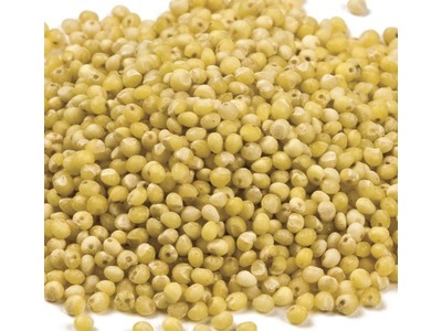 Millet (Food Grade) – Mill Creek General Store